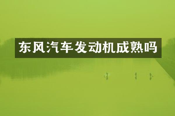 东风汽车发动机成熟吗