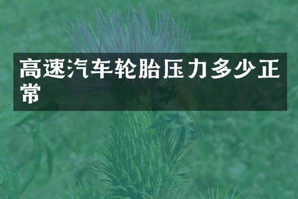 高速汽车轮胎压力多少正常