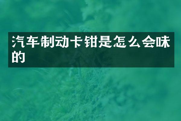 汽车制动卡钳是怎么会味的