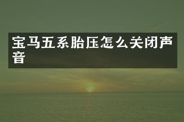 宝马五系胎压怎么关闭声音