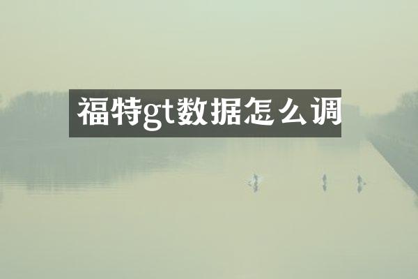 福特gt数据怎么调