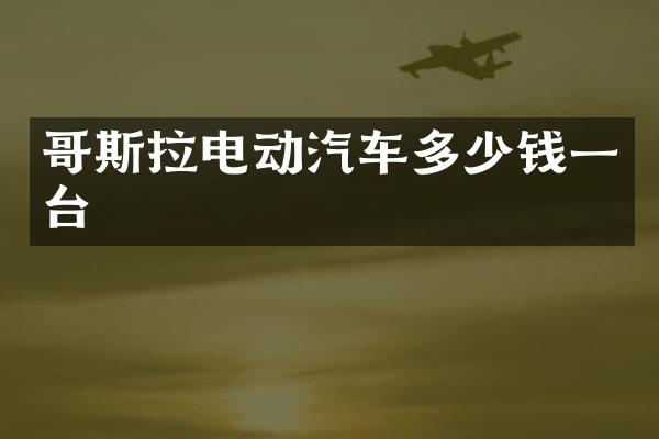 哥斯拉电动汽车多少钱一台