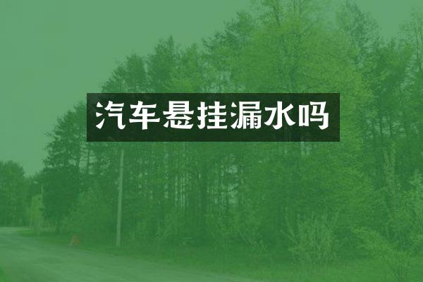汽车悬挂漏水吗