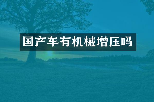 国产车有机械增压吗