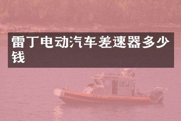 雷丁电动汽车差速器多少钱