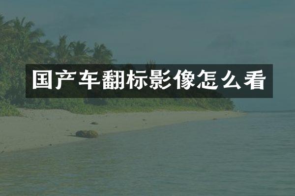 国产车翻标影像怎么看