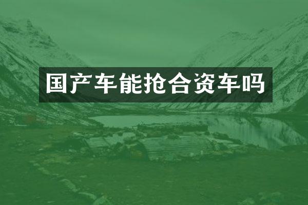 国产车能抢合资车吗