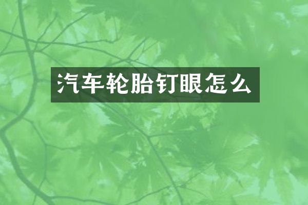 汽车轮胎钉眼怎么