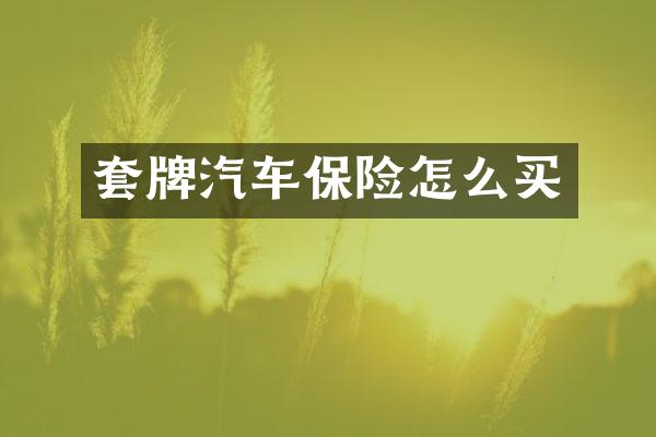 套牌汽车保险怎么买