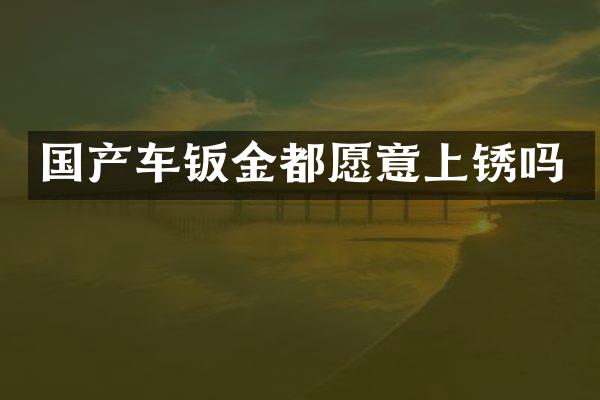 国产车钣金都愿意上锈吗