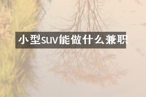 小型suv能做什么兼职