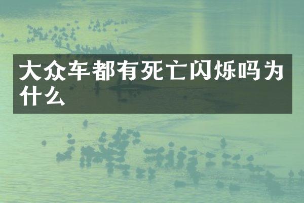 大众车都有死亡闪烁吗为什么