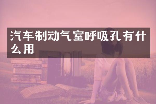汽车制动气室呼吸孔有什么用