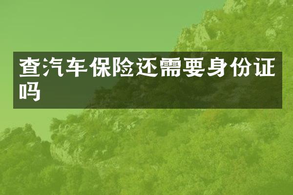 查汽车保险还需要吗