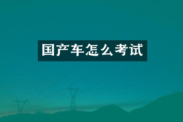 国产车怎么考试