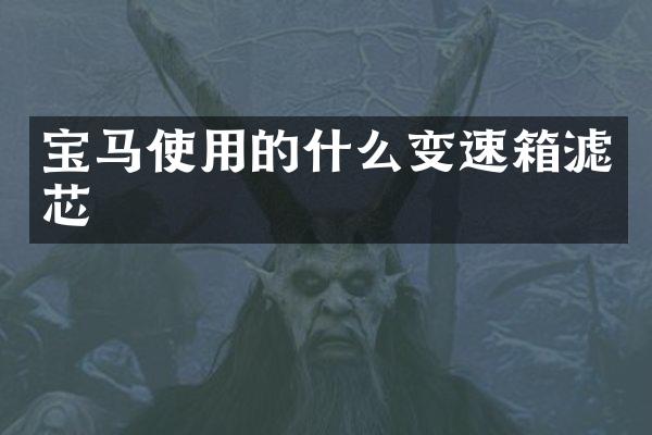 宝马使用的什么变速箱滤芯