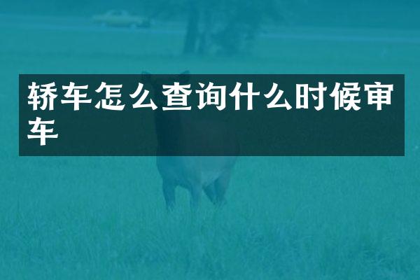轿车怎么查询什么时候审车