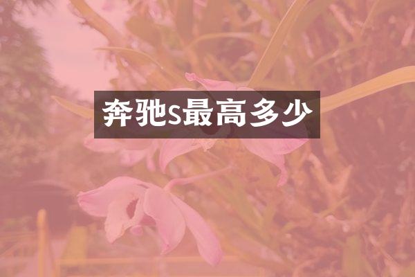 奔驰s最高多少