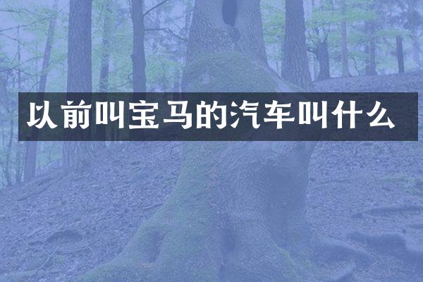 以前叫宝马的汽车叫什么