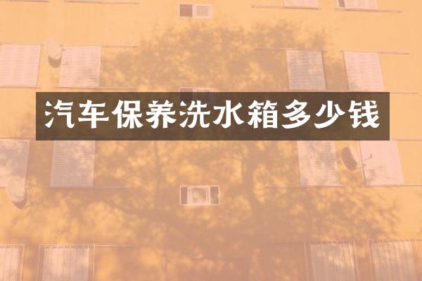 汽车保养洗水箱多少钱