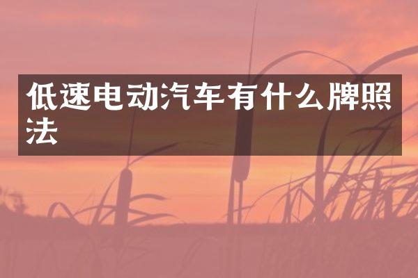 低速电动汽车有什么牌照法
