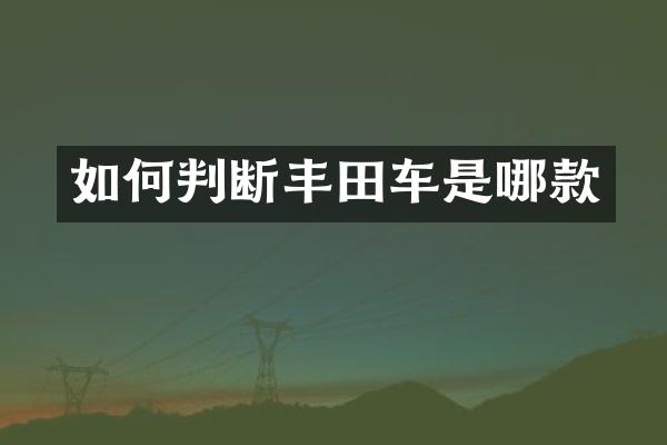 如何判断丰田车是哪款