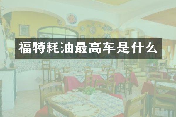 福特耗油最高车是什么