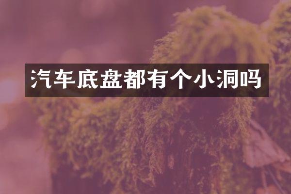 汽车底盘都有个小洞吗