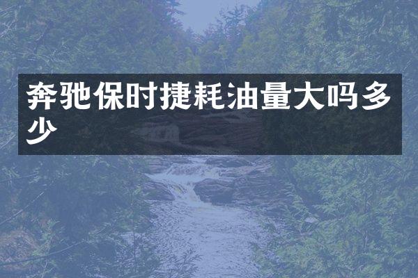 奔驰保时捷耗油量大吗多少