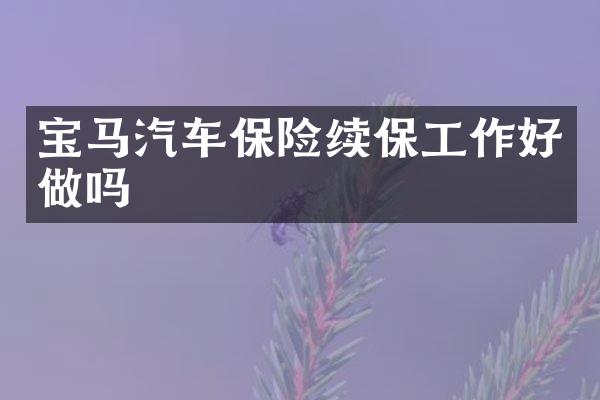 宝马汽车保险续保工作好做吗