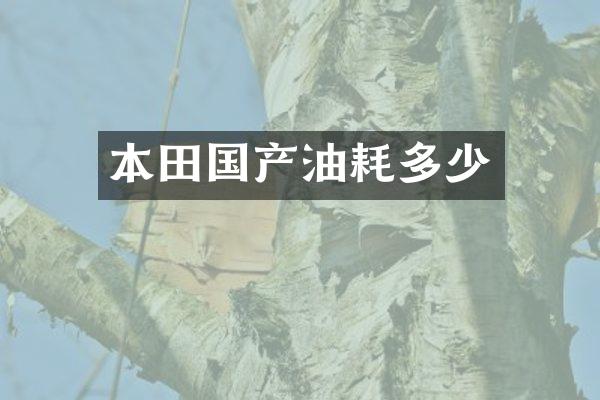 本田国产油耗多少