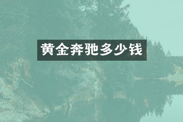 黄金奔驰多少钱