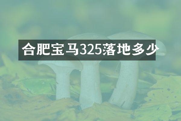 合肥宝马325落地多少