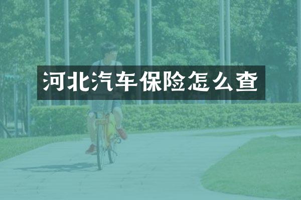 河北汽车保险怎么查