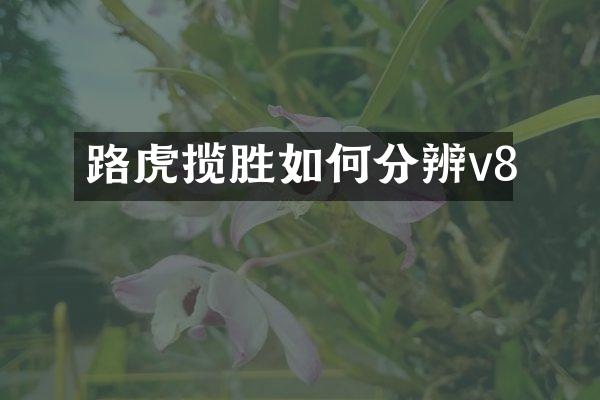 路虎揽胜如何分辨v8