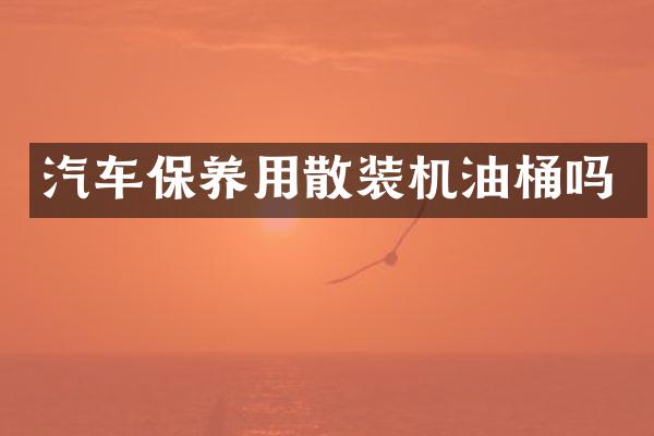 汽车保养用散装机油桶吗