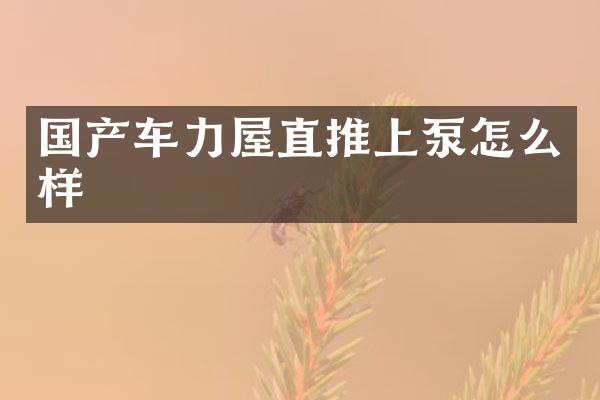 国产车力屋直推上泵怎么样
