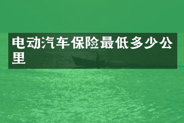 电动汽车保险最低多少公里