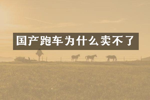 国产跑车为什么卖不了