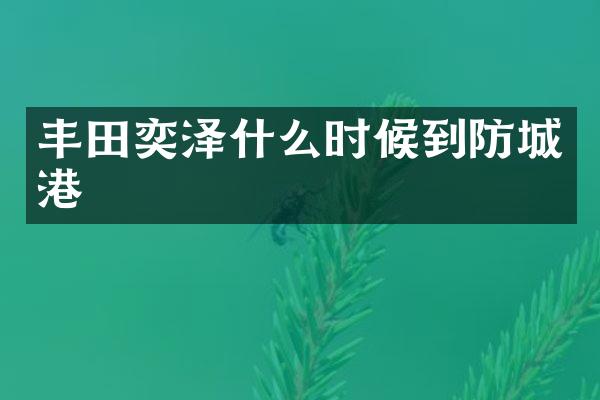 丰田奕泽什么时候到防城港