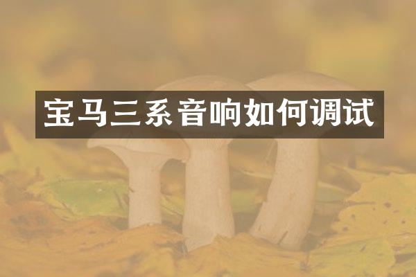 宝马三系音响如何调试