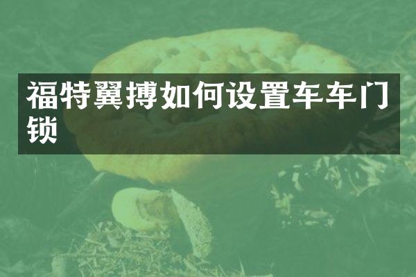 福特翼搏如何设置车车门锁