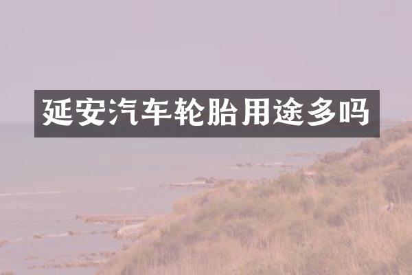 延安汽车轮胎用途多吗