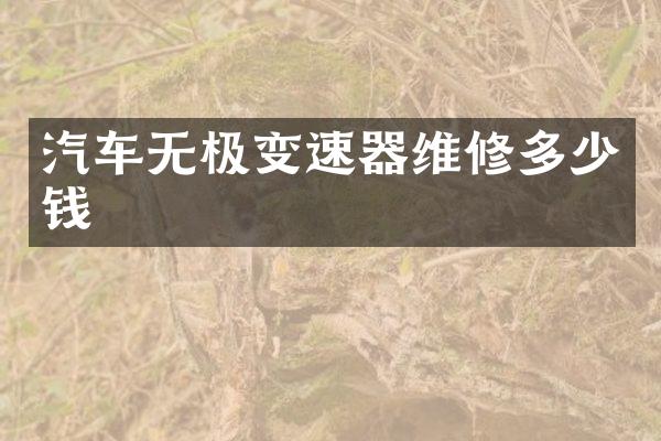 汽车无极变速器维修多少钱