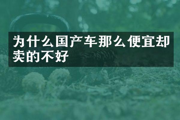 为什么国产车那么便宜却卖的不好