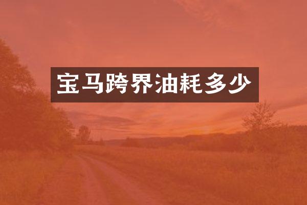 宝马跨界油耗多少