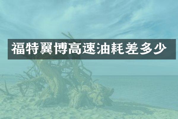 福特翼博高速油耗差多少