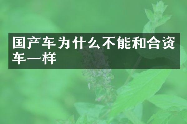 国产车为什么不能和合资车一样