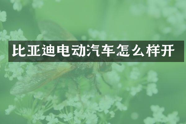 比亚迪电动汽车怎么样开