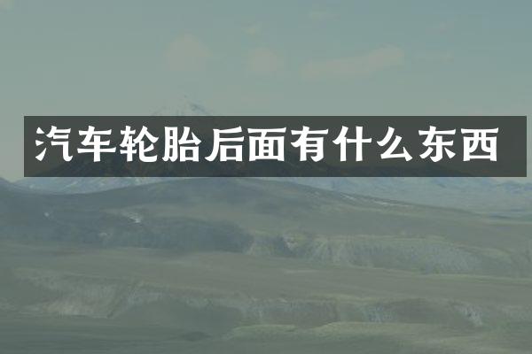 汽车轮胎后面有什么东西